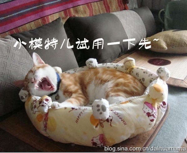 Шъём кроватку для кошки крвоать для кошки