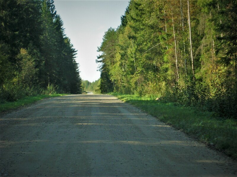 Очарование русской дороги 