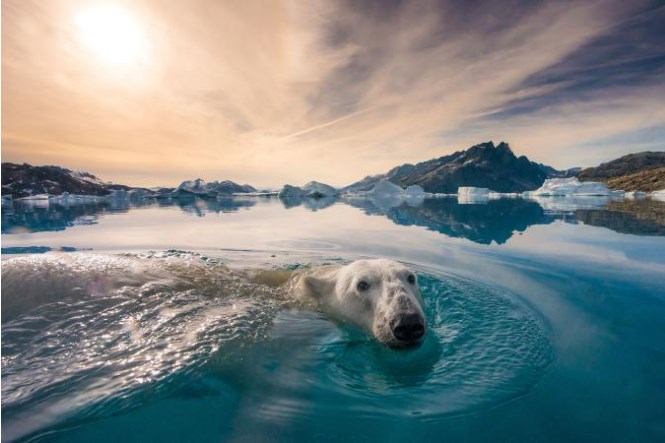 35 лучших фото от National Geographic за всю историю бренда Природа