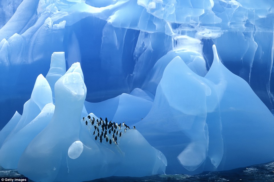 8 невероятных фото самых древних в мире айсбергов айсберги